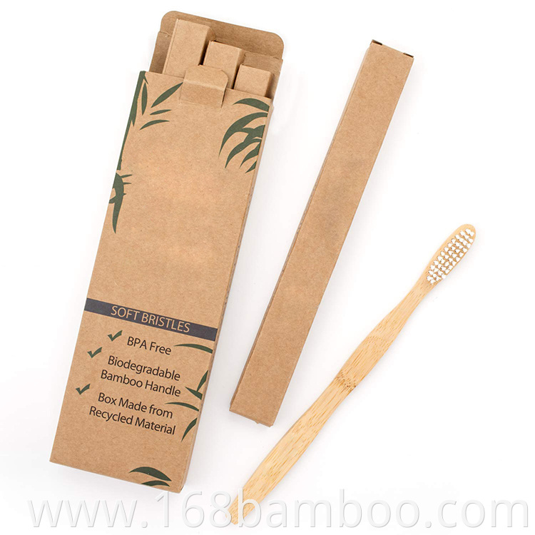 Biodegradable bamboo toothbrush